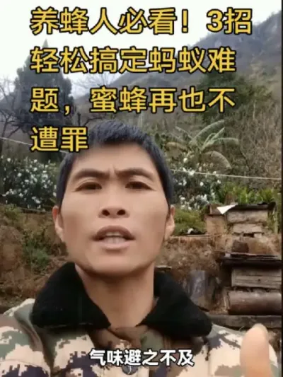 #内容启发搜索 #谌蜜 #养蜂技术，#养蜂技术分享 ，养蜂人必看！3招轻松搞定蚂蚁难题，蜜蜂再也不遭罪@抖音小助手 @DOU+小助手