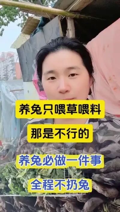 养兔只喂草喂料那是不行的，学会这样喂远离兔瘟兔丙#养兔人 #兔子 #科学养兔 #散养兔 #肉兔养殖