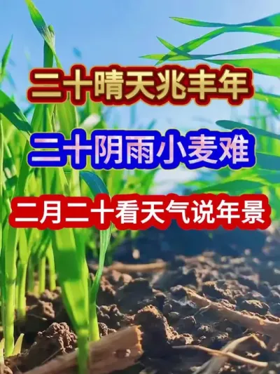 二十晴天兆丰年二十阴雨小麦难二月二十看天气说年景 #农业谚语 #谚语 #谚语俗语 #农谚 #农业种植