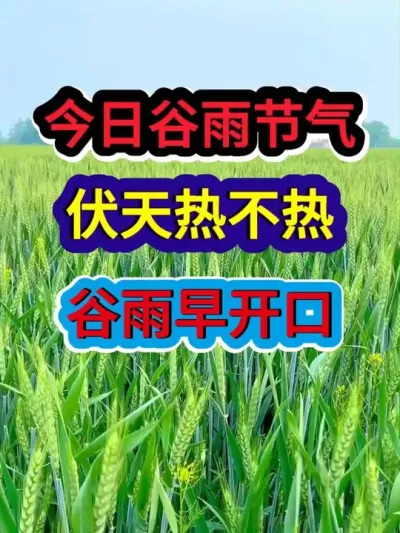 今日谷雨节气伏天热不热谷雨早开口 #农业谚语 #农业种植 #服务三农支持三农 #谷雨 #谷雨节气