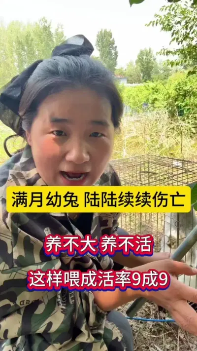 幼兔满月之后，开始陆陆续续伤亡，100多只，不到2周，只剩下20多只，关键这步没做好，这样喂成活率9成9#养兔人 #兔子 #肉兔养殖 #兔子养殖