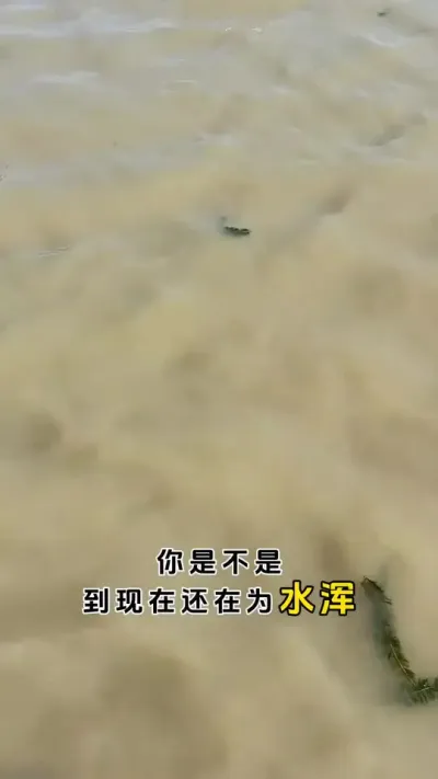 你是不是道现在都还在为水浑而烦恼。#三农 #螃蟹养殖 #鱼虾蟹养殖 #大闸蟹养殖 #河蟹养殖 @DOU+小助手