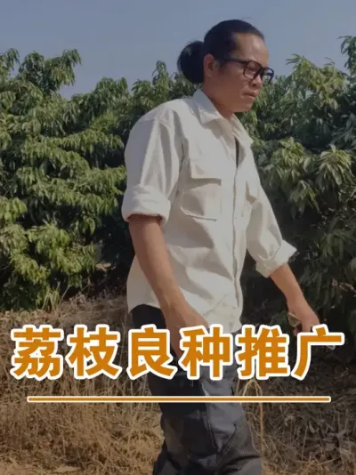 仙桃荔的未来前景#广西灵山荔枝果苗#农业创业#抖音新农人计划2025#吕老师种果苗