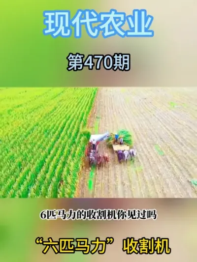&ldquo;六匹马力&rdquo;收割机 #现代农业机械 #助力三农 #农业种植 #抖音助农 #抖音农机