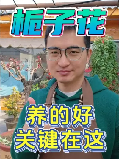 养栀子花，这一步你做对了吗？#养花 #栀子花 #硫酸亚铁
