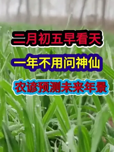 二月初五早看天一年不用问神仙农谚预测未来年景 #农业谚语 #谚语 #谚语俗语 #农业种植 #分享农业知识帮农民增产增收