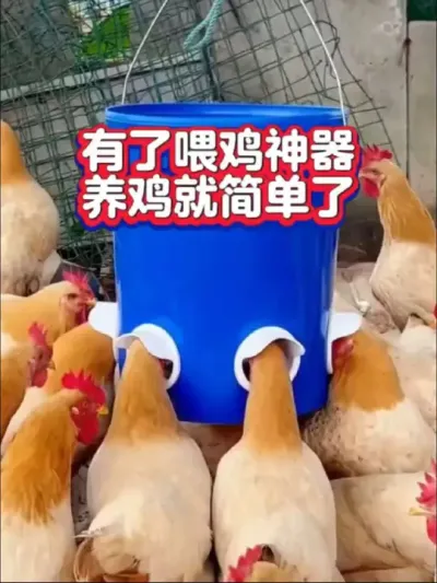 鸡鸭鹅喂鸡神器，喂鸡轻松多了，出去几天也不怕饿着鸡了#鸡鸭鹅喂食器#养鸡#喂鸡神器#鸡鸭鹅养殖#农村散养土鸡