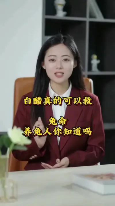 白醋居然可以救兔命，养兔人一定要知道#兔子 #养兔人 #肉兔养殖 #养兔技术 #兔子