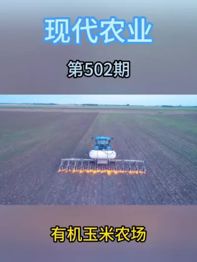 有机玉米农场 #现代农业机械 #农业种植 #春耕进行时 #三农 #抖音助农