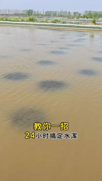 教你一招，24小时解决水浑。#大闸蟹养殖 #河蟹养殖 #螃蟹养殖 #鱼虾蟹养殖 #三农 @DOU+小助手