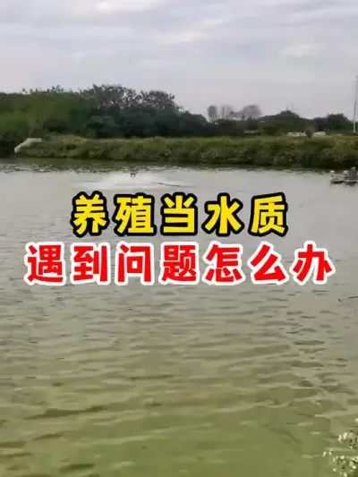 养殖水质遇见问题怎么办呢？ #水产养殖 #养鱼 #养鱼人 #鱼塘 #农村
