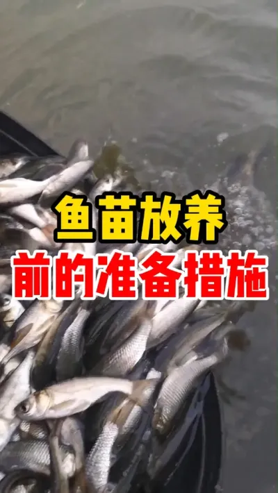 鱼苗放养前的准备措施 #养鱼 #水产养殖 #养鱼人 #鱼塘 #鱼苗