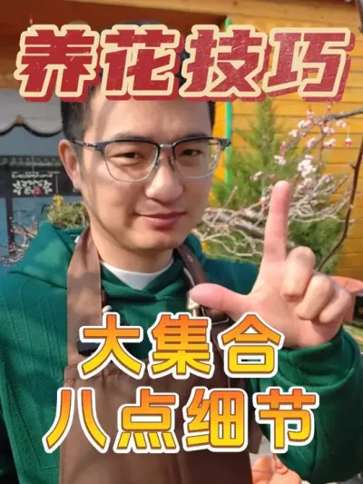 养花技巧大集合，八大细节要注意！ #养花 #花卉绿植 #养花小技巧