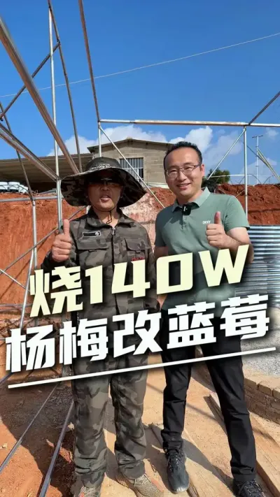 挖16亩杨梅烧140W种蓝莓，今年究竟能不能回本？#杨梅改蓝莓 #云南蓝莓 #水肥一体化  #农业投资