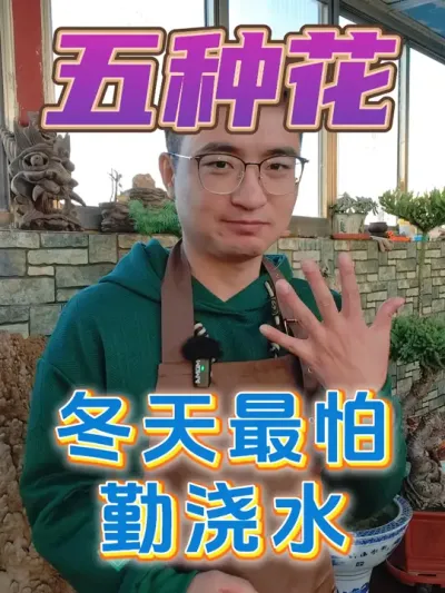 五种花冬天最怕多浇水！ #养花 #浇水 #养花小知识