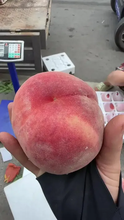 红夏 快递公司看到我得拿最大的箱子#优质农产品