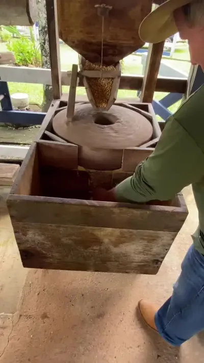 玉米🌽磨面粉机 #磨面粉 #玉米粉碎机 #玉米面 #小型磨面机 #农机视频 @抖音小助手