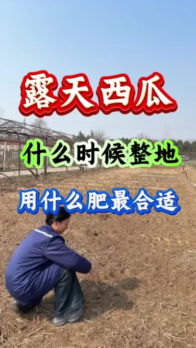 西瓜种植 露天西瓜什么时候整地用什么肥最合适#西瓜种植 #西瓜管理#种西瓜#西瓜高产