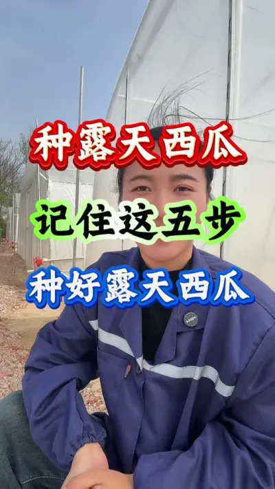 西瓜种植 记住这五步种好露天西瓜 #西瓜种植 #西瓜管理 #西瓜高产 #露天西瓜