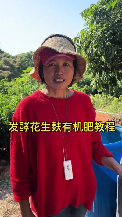 发酵花生麸有机肥（教程）#2024新农人计划 #dou来广东百千万 #青dou计划 #支持三农扶持三农发展