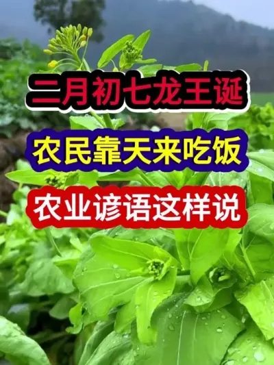 二月初七龙王诞农民靠天来吃饭农谚这么说 #农业谚语 #谚语俗语 #谚语分享 #农业种植 #三农