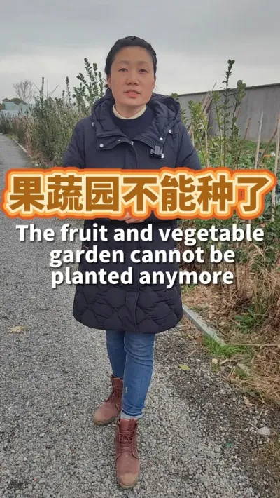 种了3年的果蔬园不能再继续种下去了 这块地上的蔬菜都要面临我育了三年的土壤的剥离。#我的小菜园 #种植小技巧 #我爱种菜 #露台种菜 #阳台种菜