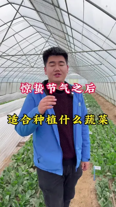 蔬菜种子 #惊蛰#种植小技巧#蔬菜种子 #蔬菜种植 #2025新农人计划乡村振兴蓝图 ，惊蛰之后可以种植哪些叶类蔬菜。