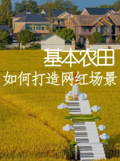 农田变网红打卡地！4步打造合法合规的爆款场景 #小院改造 #创意 #氛围感 #网红打卡地 #天雅设计