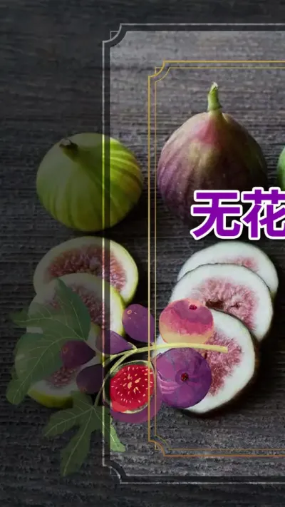无花果有什么文化符号吗？#干无花果 #无花果 #抖音助农