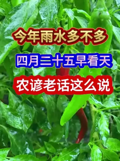 今年雨水多不多四月二十五早看天农谚老话这么说 #农业谚语 #农谚 #农谚老话 #农业种植 #三农种植