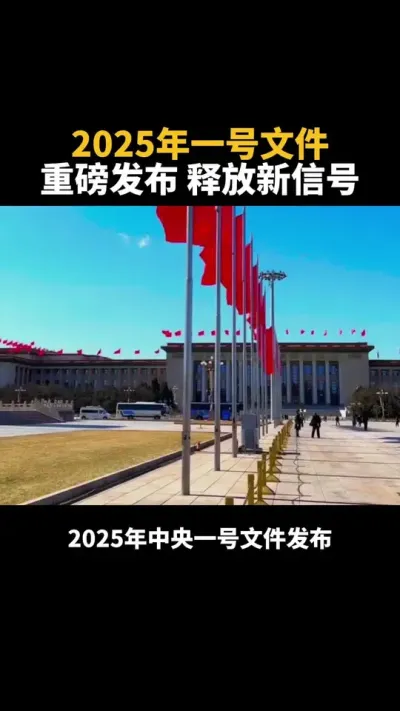 2025年中央一号文件发布，释放更多新的信号 #2025年中央一号文件发布 #乡村振兴 #宅基地 #农村 #农业