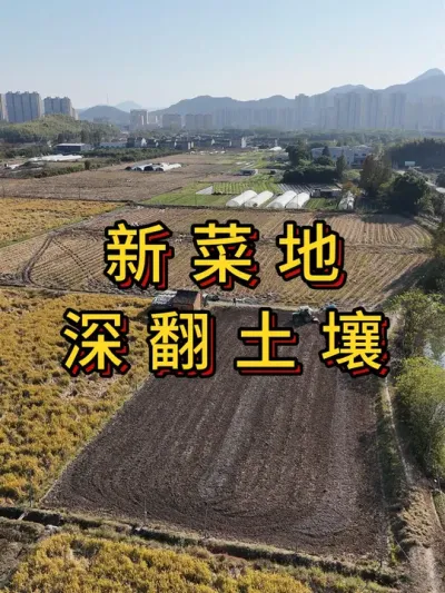 新菜地开荒第7集，拖拉机耕地 