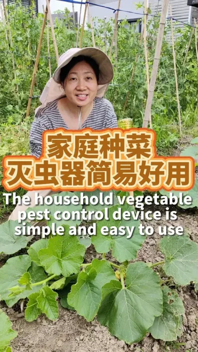 家庭灭虫器简单好用 不用打农药，用一个饮料瓶就可以搞定#病虫害防治 #种植小技巧 #防虫小妙招 #我爱种菜
