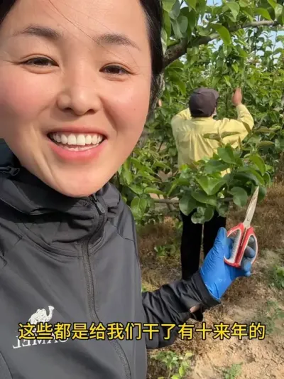 疏果 俺家梨今天疏完了，明天开始进军桃树地疏桃子#农业种植 #分享果树管理技术传播正