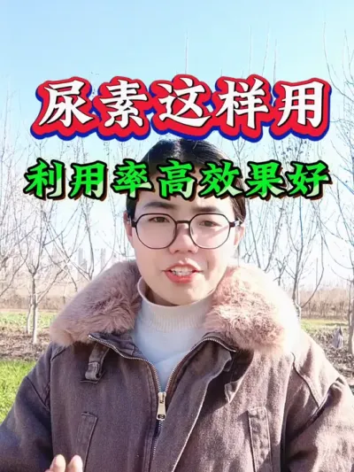 尿素如何使用利用率高效果才好？尿素使用六大注意事项#尿素 #尿素如何使用 #农业 #三农 #肥料知识
