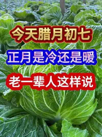 今天是腊月初七正月是冷还是暖老一辈人这样说 #农业谚语 #农谚 #农谚老话 #三农 #分享农业知识帮农民增产增收