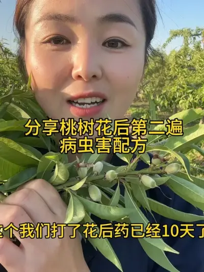 桃树病虫害 #传播农业小知识 #分享农业知识帮农民增产增收 #农业植保知识分享 #果树管理技术 #病虫害防治