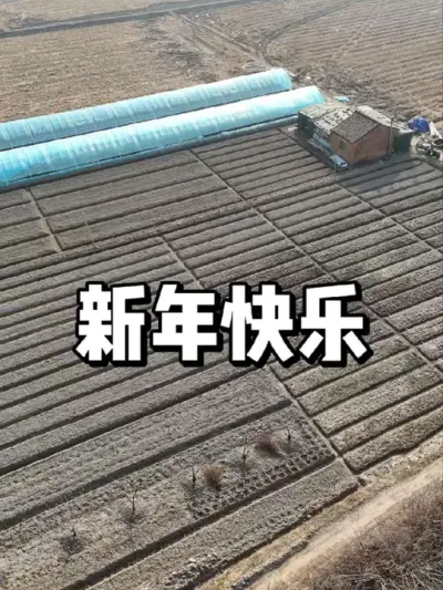 新年快乐，祝大家种菜的路上收获满满 #农业种植 #三农 #种植