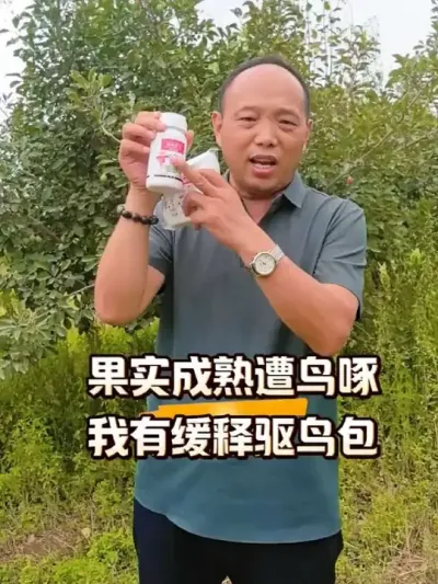 果实成熟遭鸟啄，怕啄快用驱鸟缓释包！#农田行者 #农田行者技术服务联盟#驱鸟剂 #果子熟了 #西梅种植