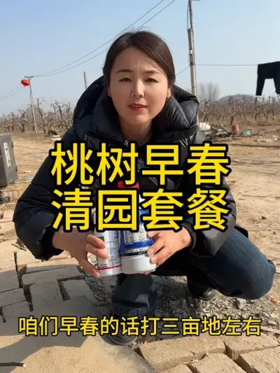 桃树清园套餐 一套4瓶花芽萌动打，全面防治，不用兑任何药，下面小黄车直接拍