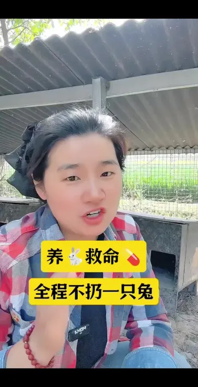 兔子粪便不成型，拉稀，学会这样喂兔，远离兔丙，全程不扔一只兔#兔子 #养兔 #兔子养殖 #肉兔养殖 #养兔人
