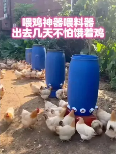 鸡鸭鹅喂食器，出去玩几天不怕饿着鸡#鸡鸭鹅喂食器 #养鸡技术 #三农养殖#科学养鸡#养鸡助手