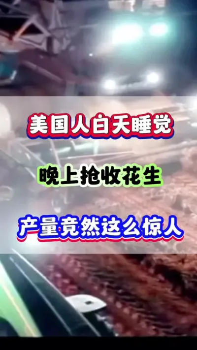 美国人白天睡觉，晚上抢收花生，产量竟然这么惊人！#花生种植  #增产增收  #花生管理技术 #种花生