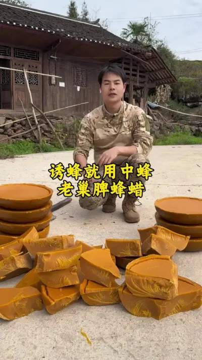 诱蜂就用中蜂老巢脾蜂蜡，这样才能事半功倍才不会浪费诱蜂时间#蜂蜡 #诱蜂 #养蜂 #养蜂技术
