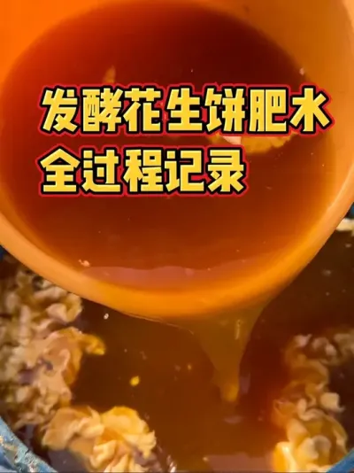 手把手毫无保留的教您如何快速发酵出菌丝爆满又有酒香味的花生饼肥水，不会生蛆发臭，且含氮量特别高的花生饼有机肥，能快速使瓜果蔬菜生长，且口感香甜，还不烧根烧苗 #水肥发酵 #有机肥 #种菜 #种植小技巧