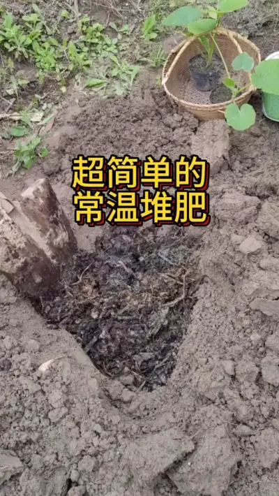 超简单的常温堆肥 不用翻堆不用加糖不用加水不用计算碳氮比的家庭堆肥法，用个袋子或种植盆就能实现将厨余变沃土#我的小菜园 #堆肥 #阳台种植 #种植小技巧 #土壤改良