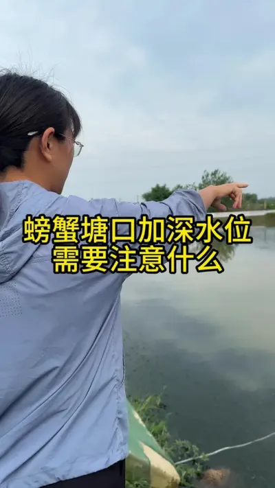 螃蟹塘口加深水位需要注意什么！！！！ #渔多多养殖模式 #三农 #水产养殖技术 #新农人计划2025 #舒宁