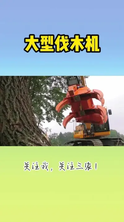 大型伐木机 #伐木机 #伐木机械 #抓木机 #林业机械