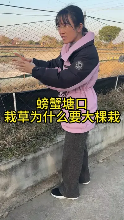 螃蟹塘口，栽草为什么要大棵栽！！！！ #渔多多养殖模式 #河蟹养殖 #新农人计划2024 #三农 #水产养殖