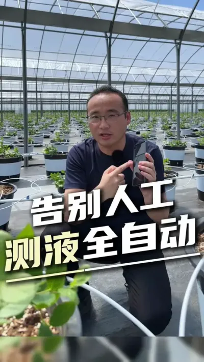 手机实时监控蓝莓水肥，24小时自动测ECPH，种蓝莓再不用人工测液#蓝莓种植 #自动测液 #排灌称 #智能水肥